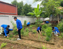 Đoàn Thanh niên - Hội Sinh viên sôi nổi các hoạt động hưởng ứng ngày Môi trường Thế giới và Tháng hành động vì môi trường năm 2025