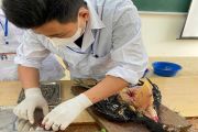 Hội thi kỹ năng nghề cấp khoa cho HSSV