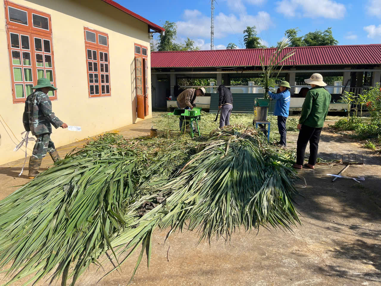 gen h z7044489111067 ff963ca72fde3c4ee8be46bee841d200