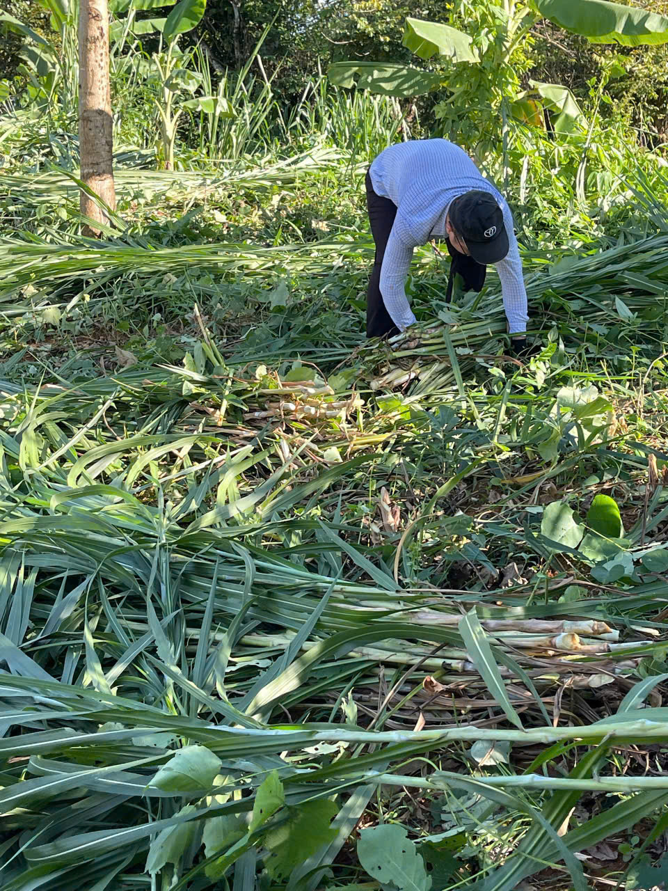 gen h z7044489115795 6bf84f6938463a08fdcc03a82c6115b0